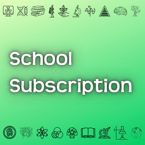 School Subscription to Courses - Primrose Kitten