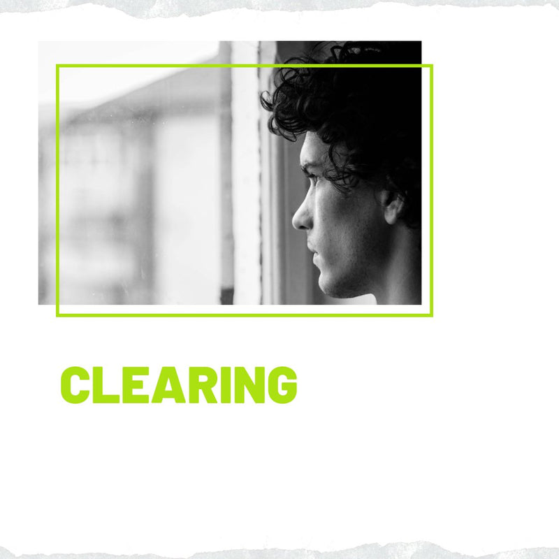 Applications via Clearing - Primrose Kitten