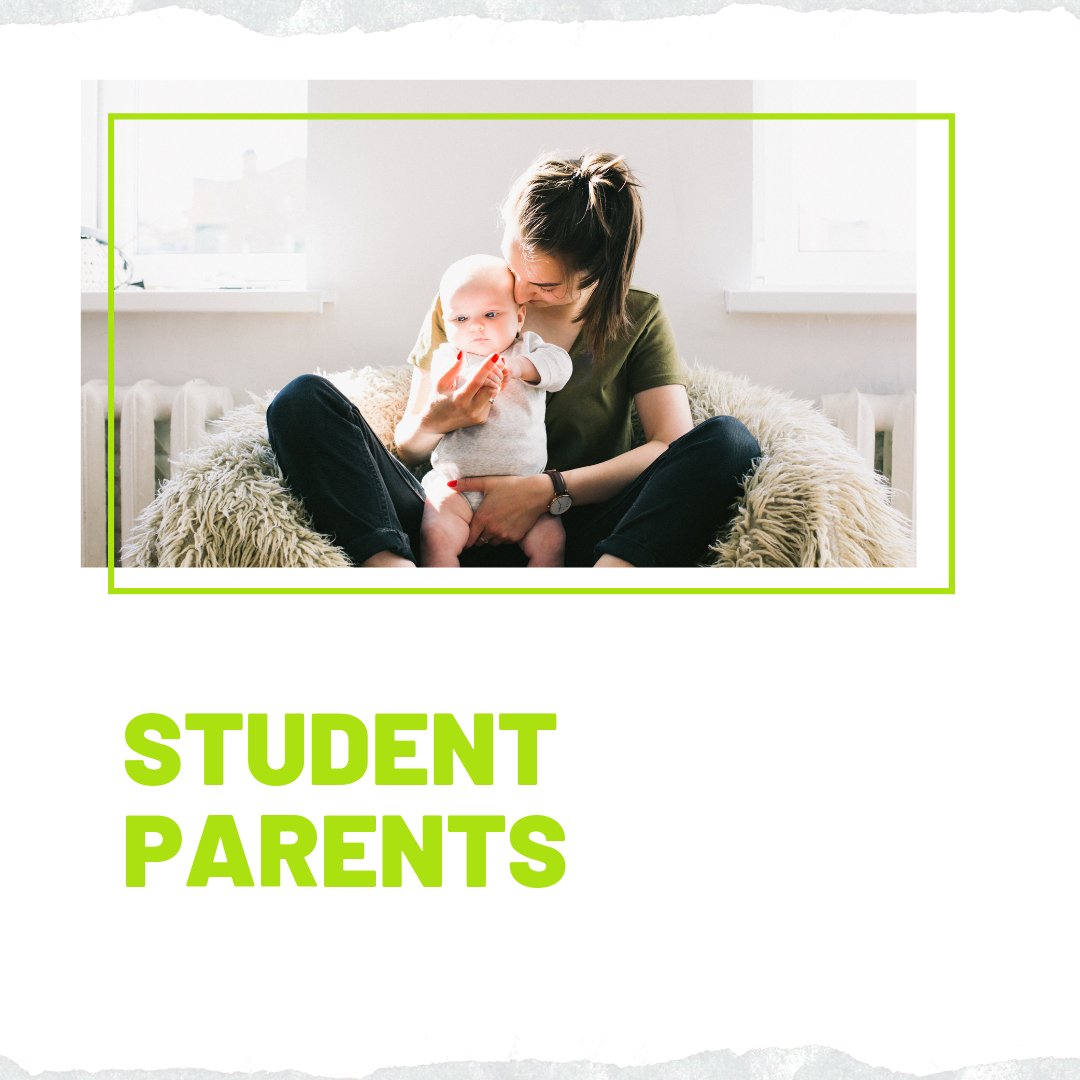 Applying as a Student Parent - Primrose Kitten