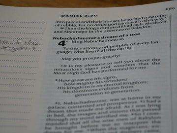 Essential Predicted Papers for A-Level and GCSE Success - Primrose Kitten