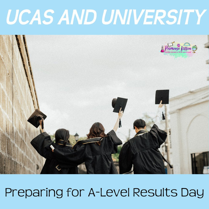 Preparing for A-Level Results Day - Primrose Kitten