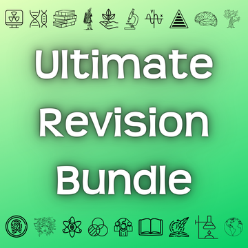 Revision Courses - Primrose Kitten