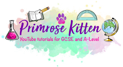 Primrose Kitten