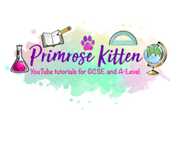Primrose Kitten