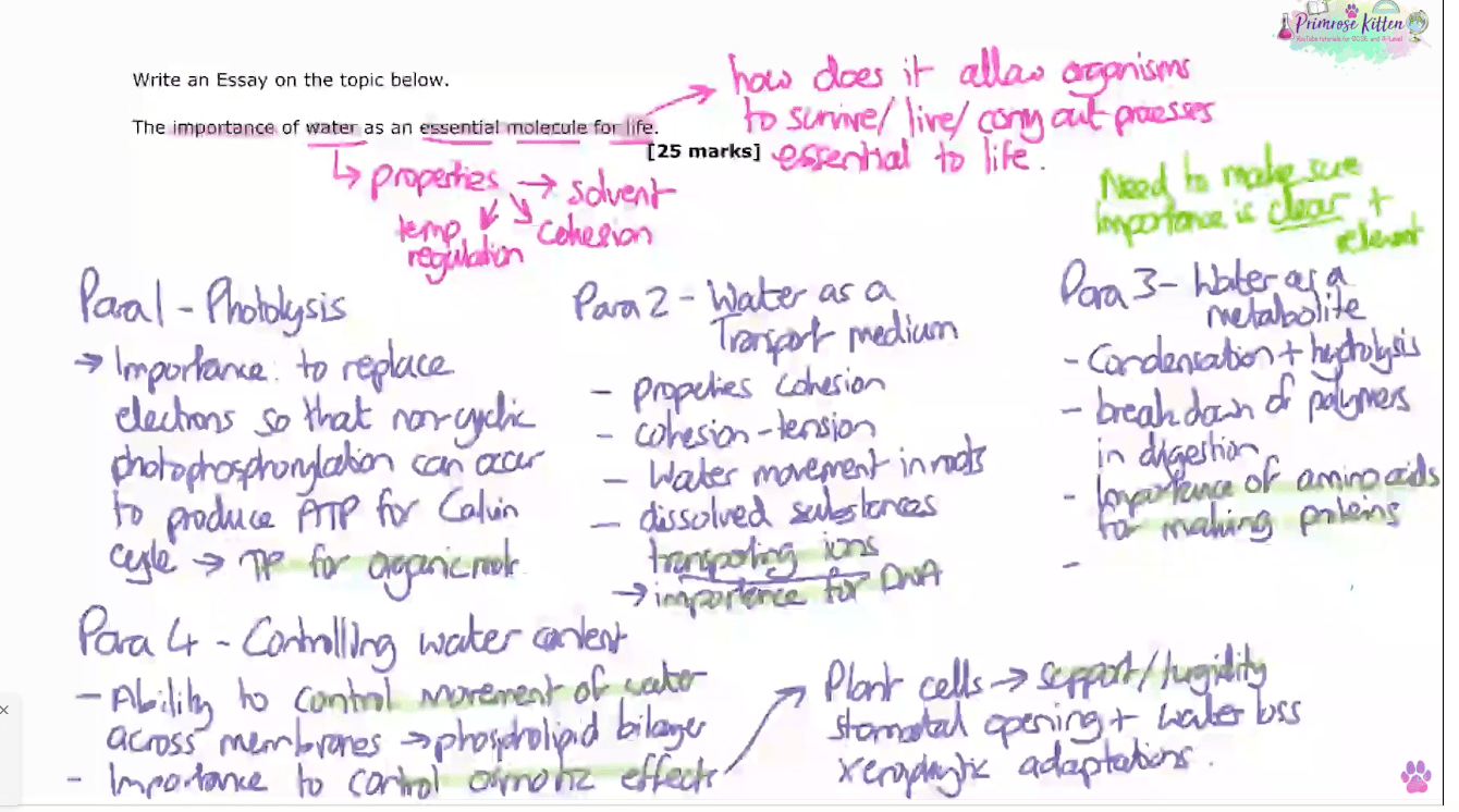 AQA A - Level Biology | Full Revision Course - Primrose Kitten