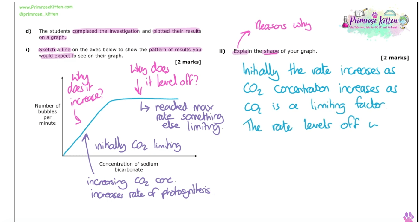 AQA GCSE Biology | Full Revision Course - Primrose Kitten
