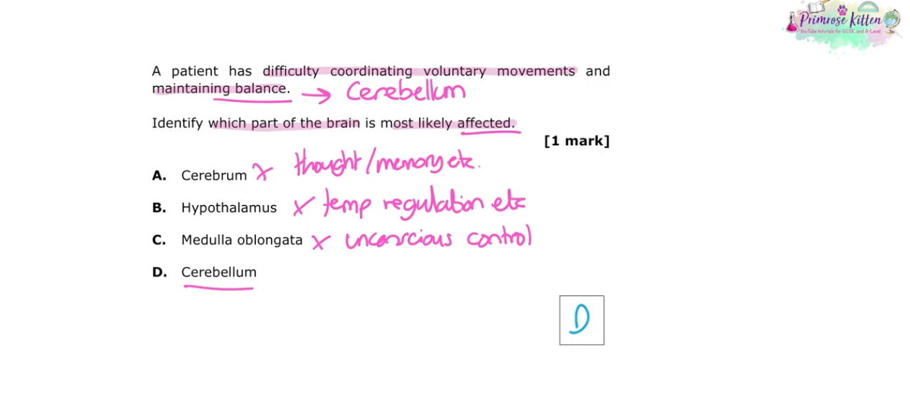 OCR - A A - Level Biology | Full Revision Course - Primrose Kitten
