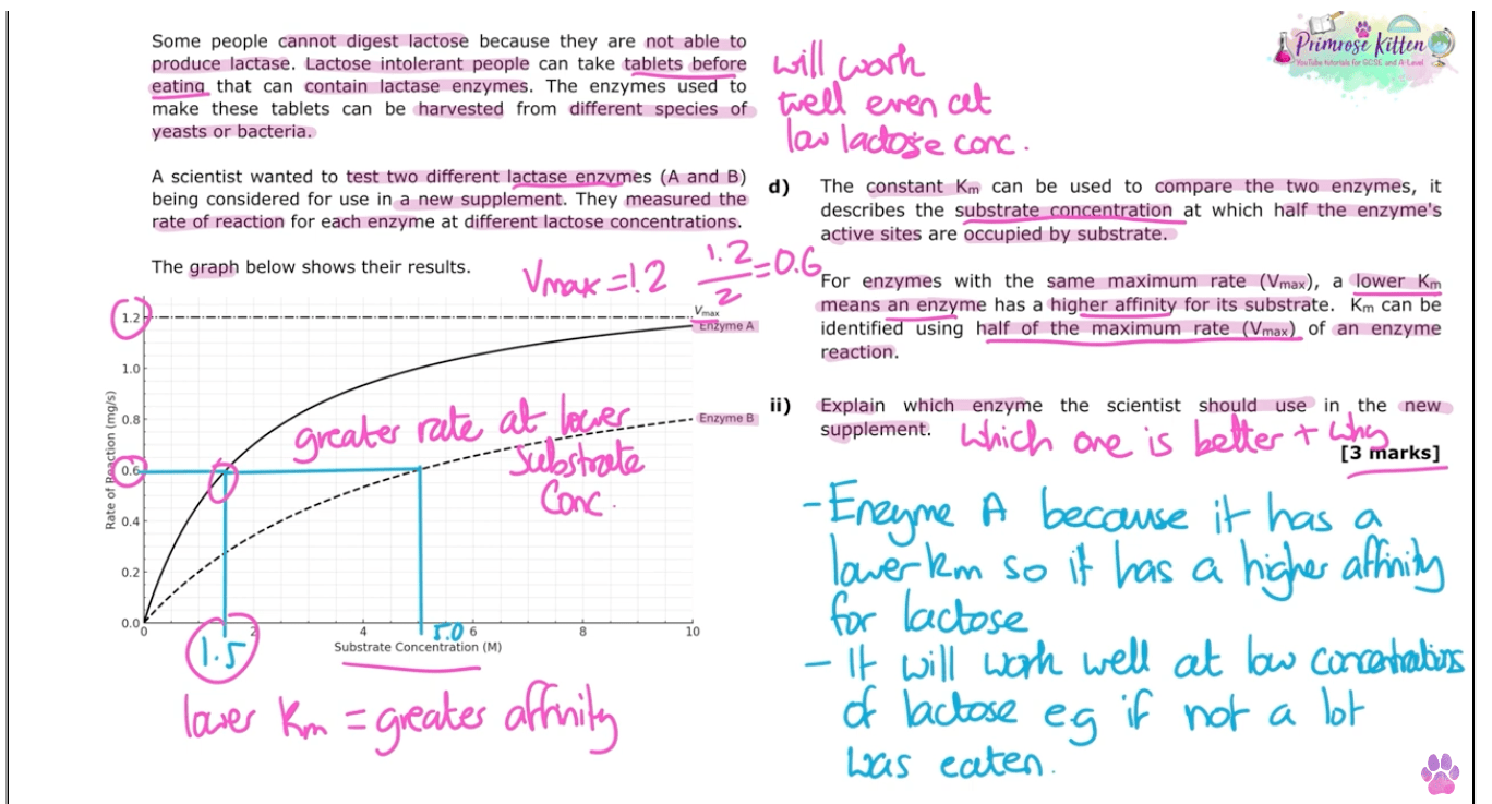OCR - A A - Level Biology | Full Revision Course - Primrose Kitten