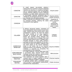 A-Level Biology Glossary