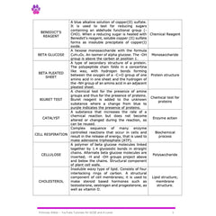 A-Level Biology Glossary