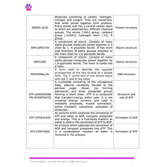 A-Level Biology Glossary