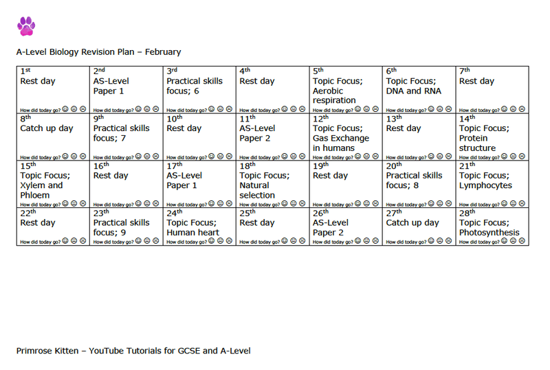 A-Level Biology revision plan