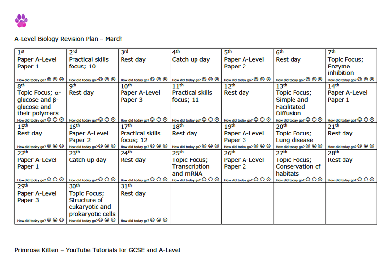 A-Level Biology revision plan