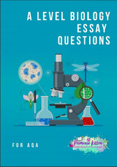 AQA Essay Booklet for Paper 3